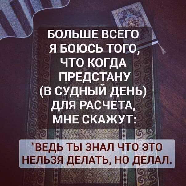 b20bd19cda77eb5ceadcb752cac00b19.jpg