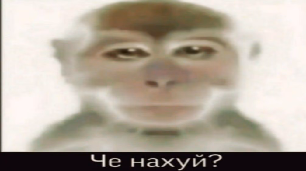 b223dc1c8c064a94fd01f0aa88567a1f.jpg