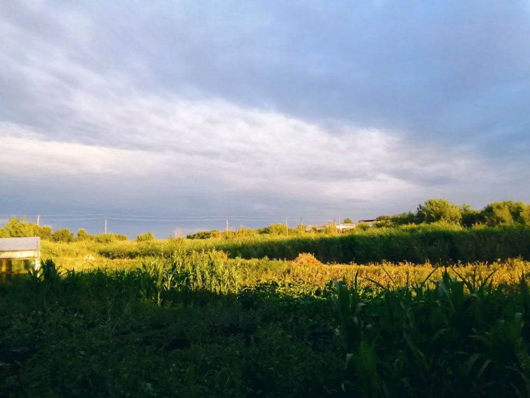 b25c91dae0a682f492db2b0f75e53f3d.jpg