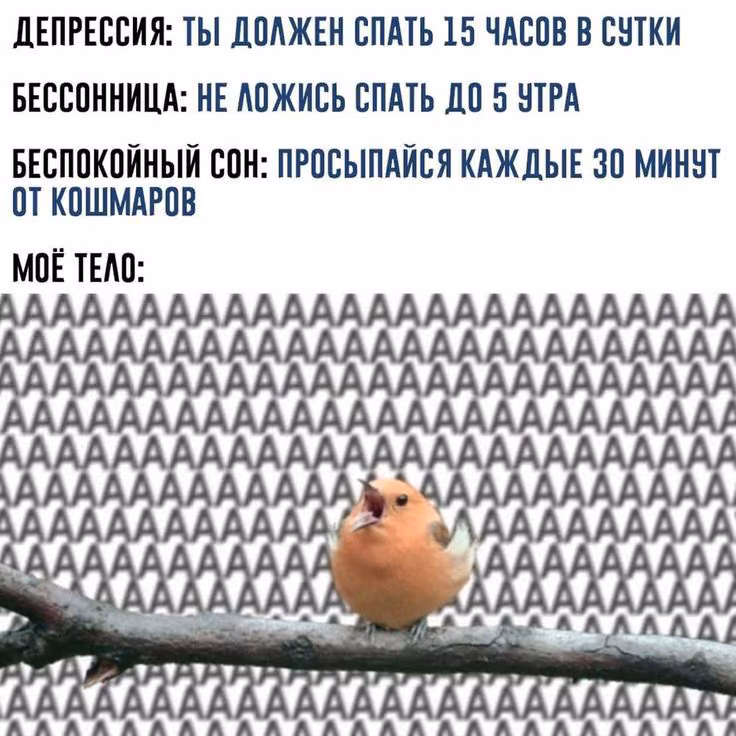 68d972a7a2adb92a85a3500a4f99ad84.jpg