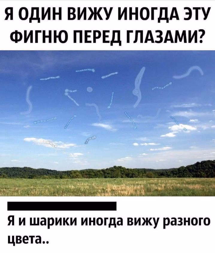 b26a6e04f374c01f3566dffa54a0cc13.avif