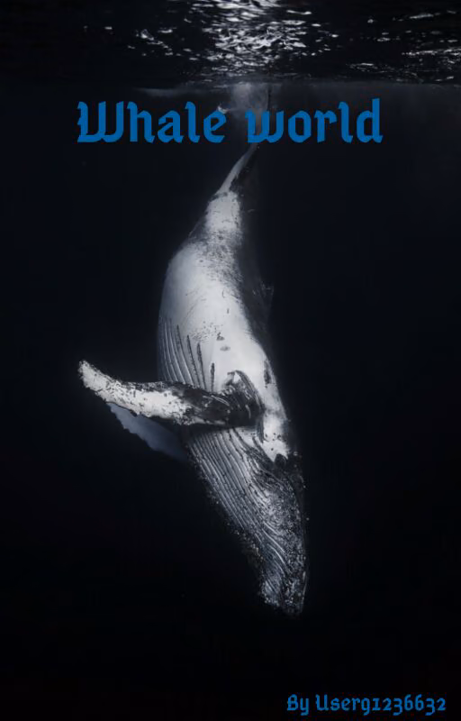 b2720f863874db736dc7194be28a2982.avif