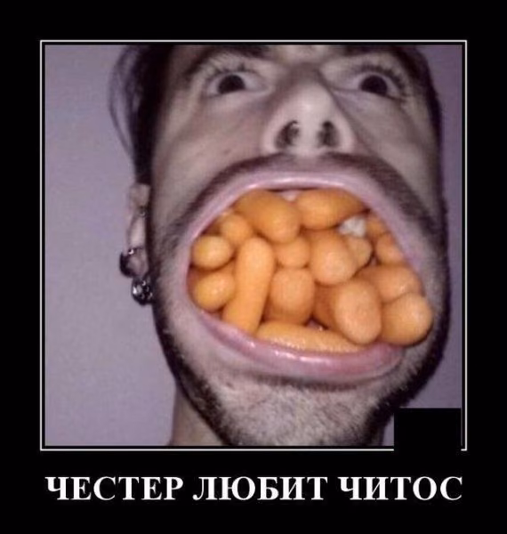 b27952c1ccfcbd2bbd6fd07daf8c7bef.avif