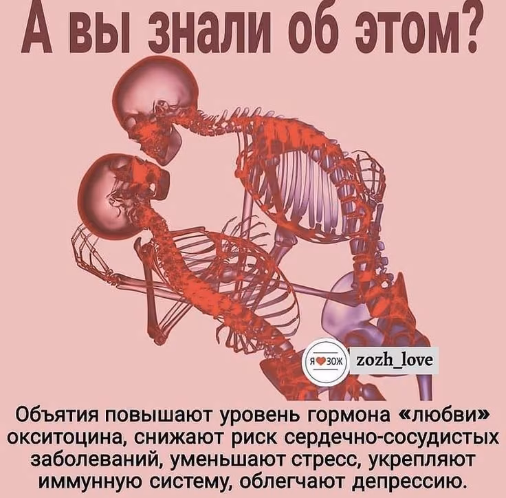 b2903f22bc3d9a1b0f2ca8acbff6735f.avif