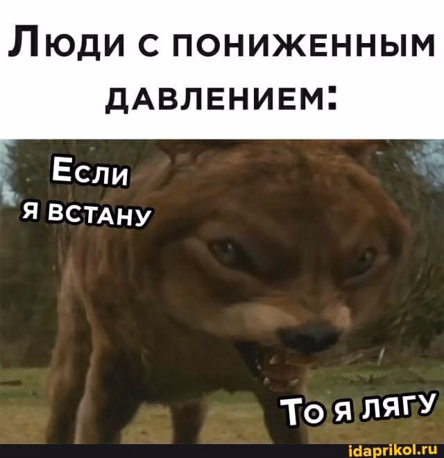 b294e0a5e58881cb2c64cc907473c3b9.jpg