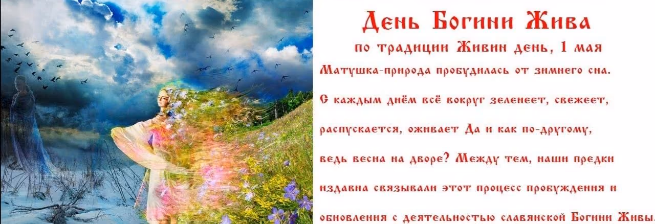 b2ac53b31dcd601e2fd3128602d02152.jpg