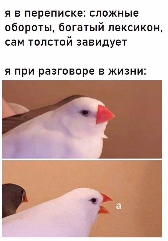 b2b9340e816703bc3dcf1c5c7e0b3ed1.avif