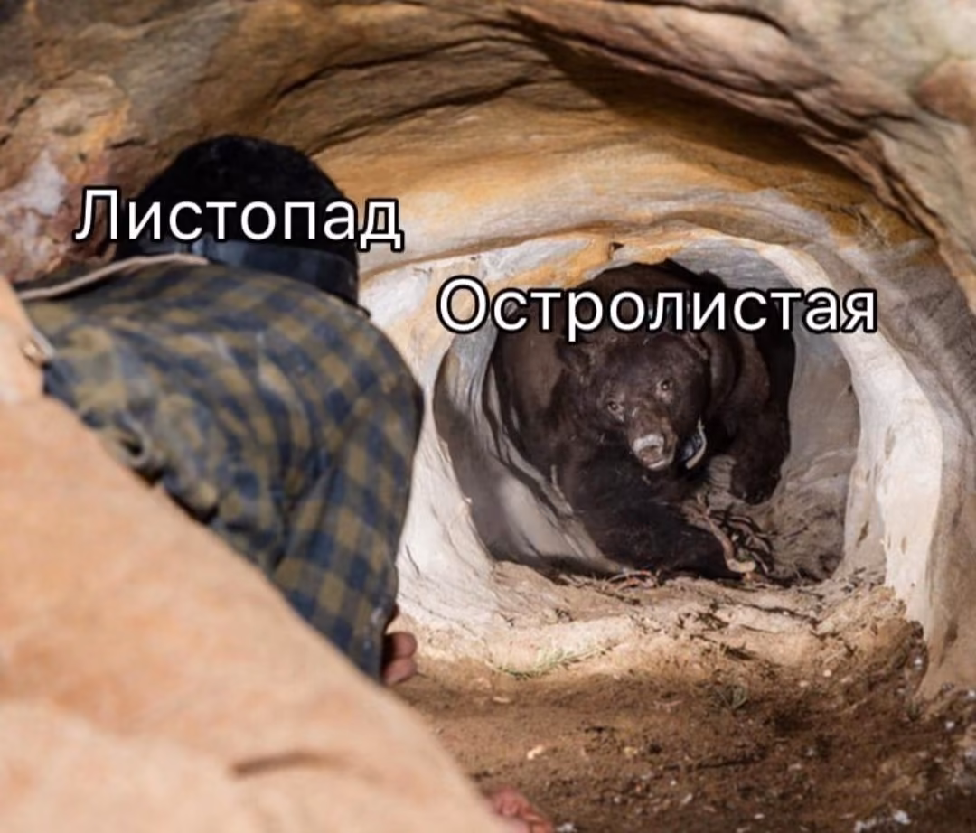 b2c170e3eb90b2f5f0bbedf33d0cde3d.avif