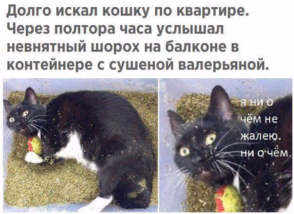 b2c325d491a8deff1494cdf51711218d.avif