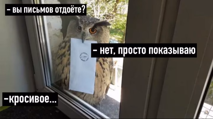 b2cccc6d050cf95d672edc8395e53cad.avif