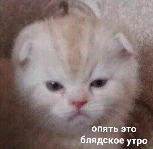 b2fa09d12aa46b1d40b1778b911b732a.jpg