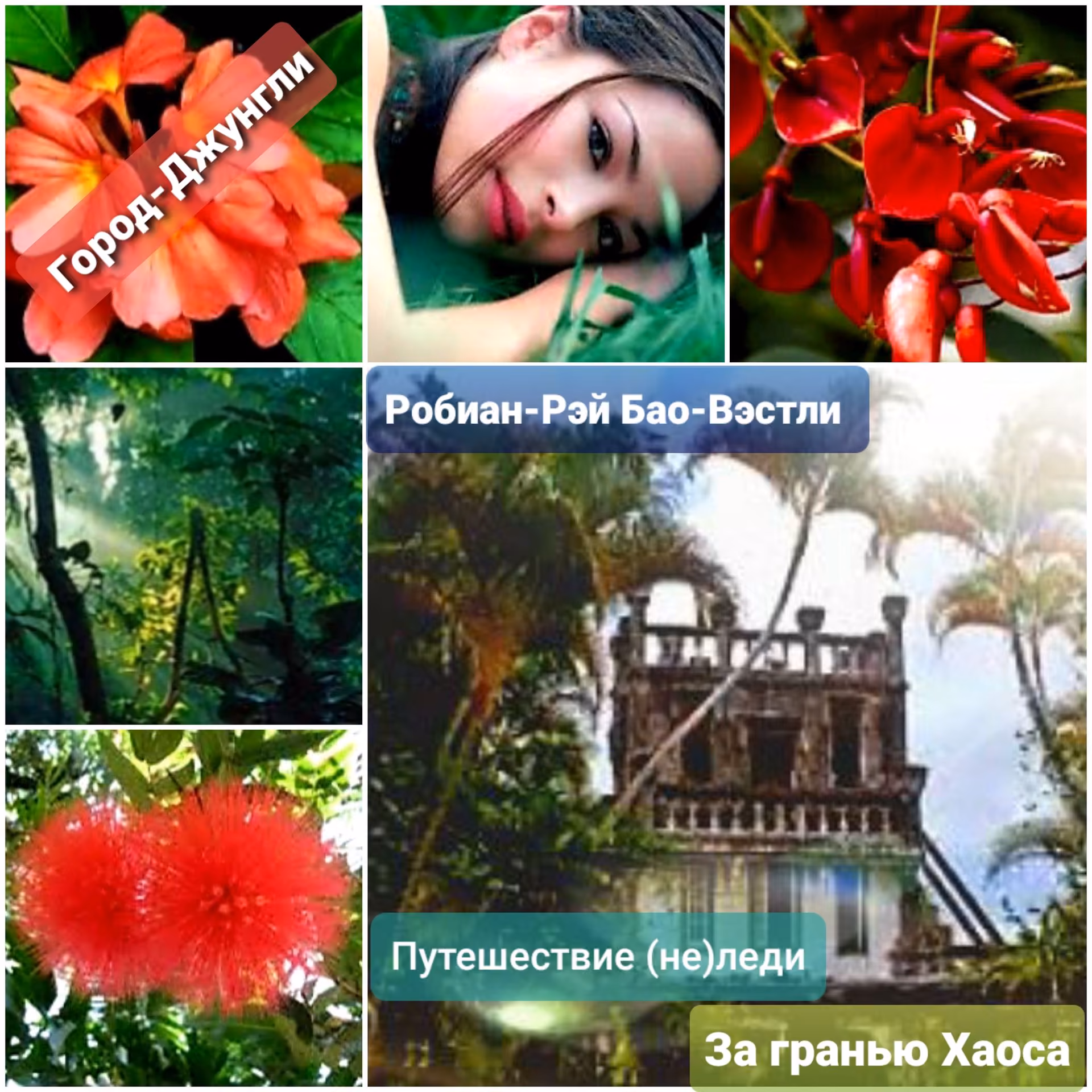 b2ffe02bd98836844ddc6d320d91a830.jpg