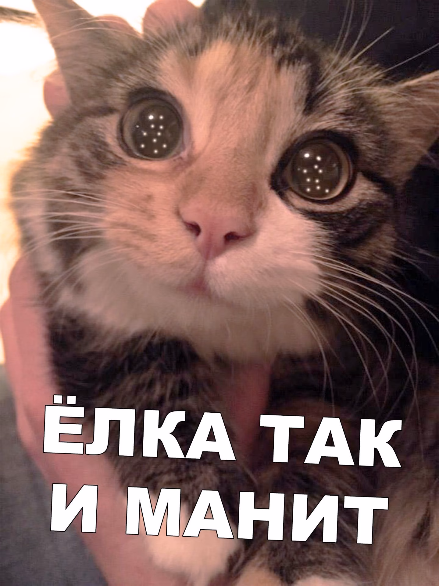 b317da6c860d7fe584cebb8483258e8c.jpg