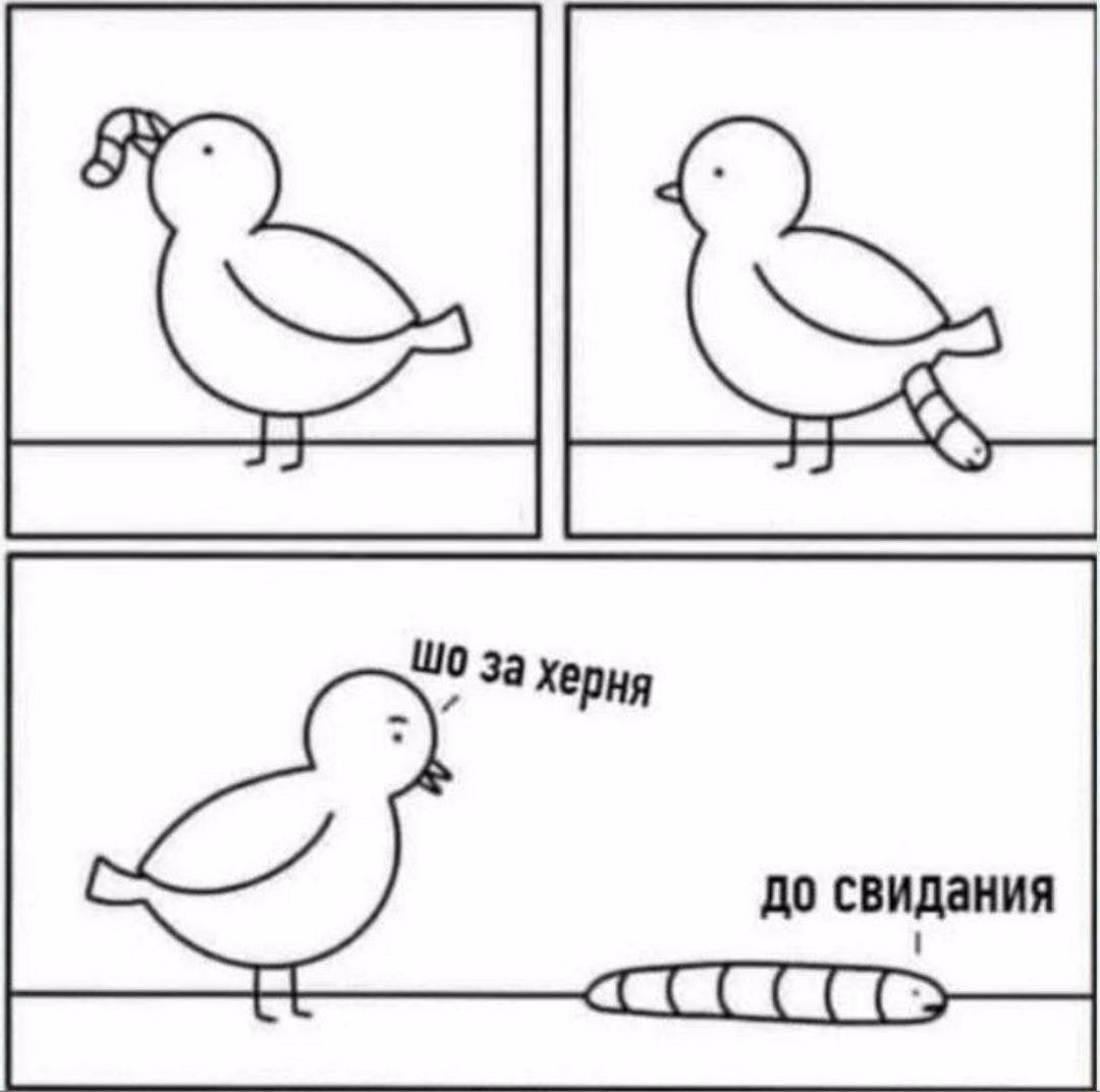 b3367093b73e7a183ab073131b02cd5d.avif