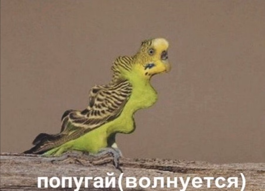 b33d22b1f7fe7703e99c5d516925aa56.avif