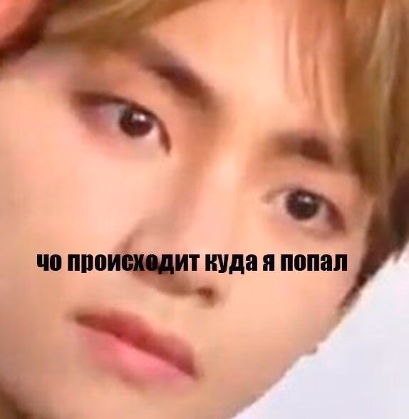 b33f808df2b642b3b29d4e16297cb982.avif