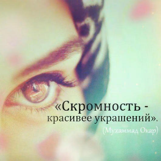 b3448a6355148a42ba77271917f59773.jpg