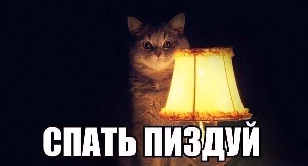 b34b494010b7c789b11170fe5bc901c9.jpg