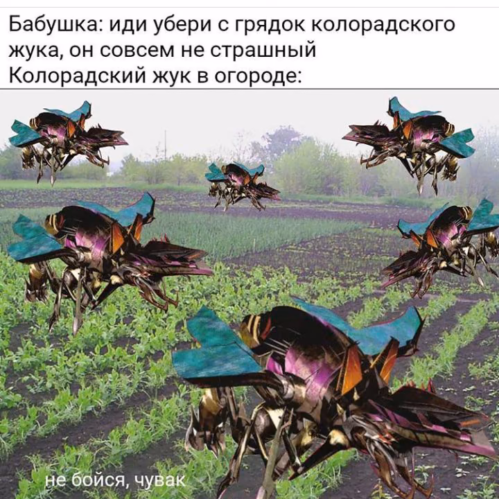 b351a16b28a8369b57809313bbec1e46.jpg