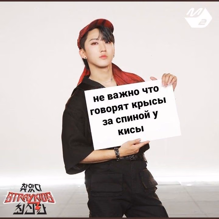 b35a93f7296b2064689c1cf3f19de109.avif