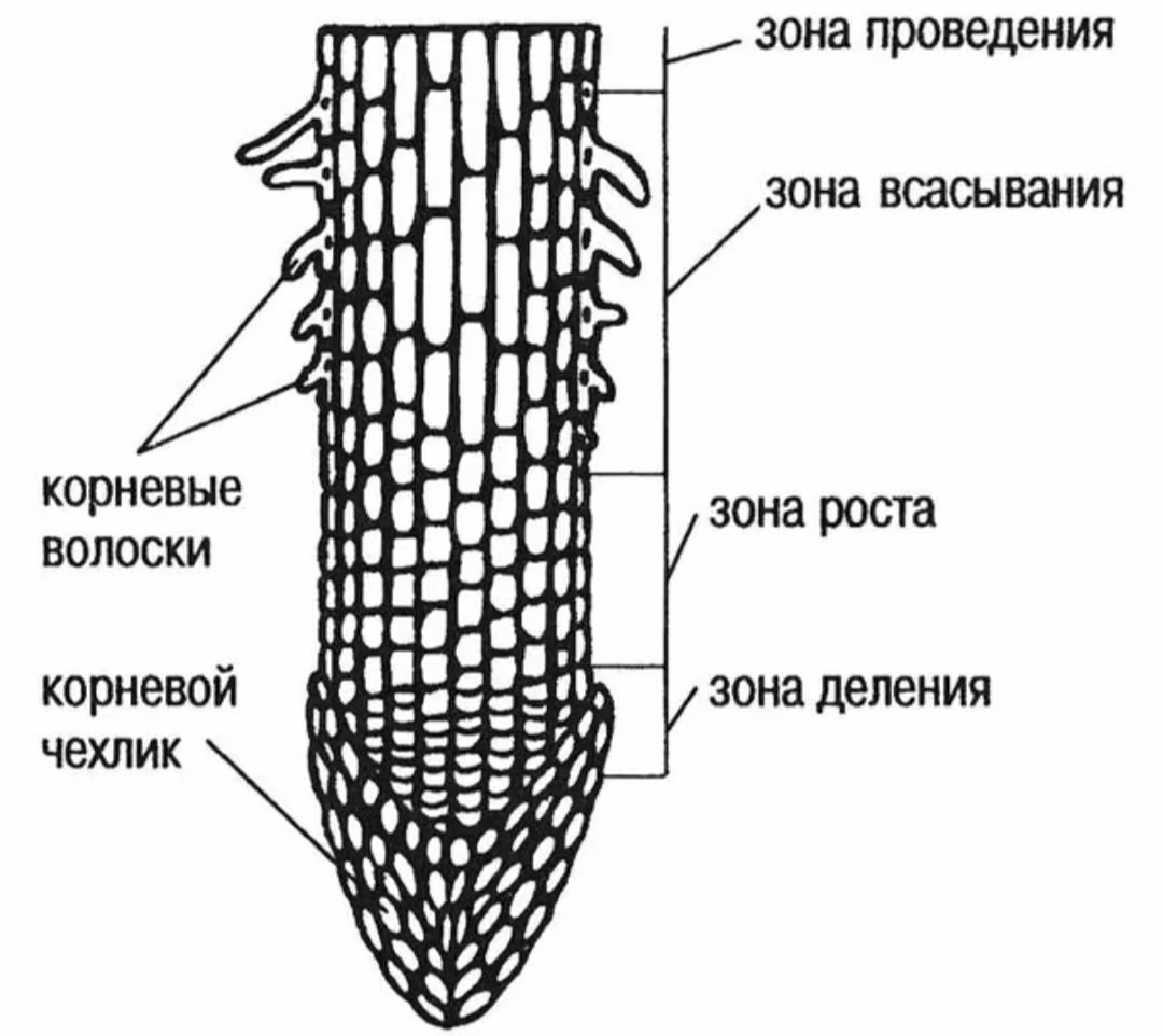 b35af96144db7b59efa3c3c43d6ebc12.jpg