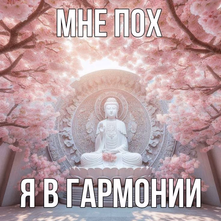 b36511cc87b6f27fc813da65b2c9a3e2.avif