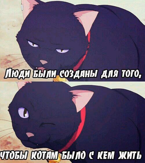 b37423d2e1d1e6caeb8f22870ecdbdcf.avif