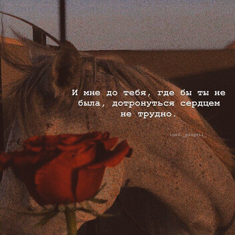 b3782511af6cf09c68d64367346c2f41.avif