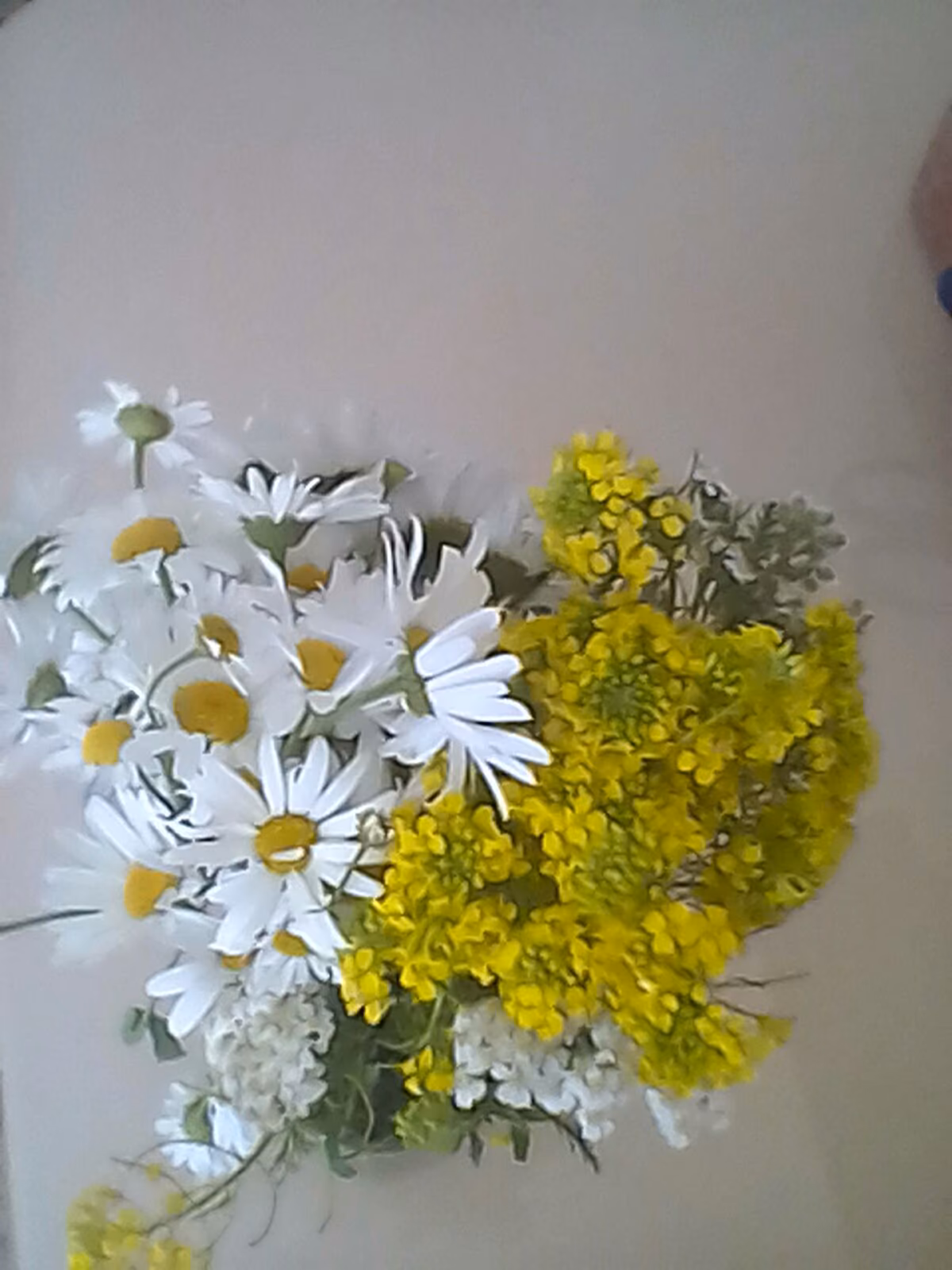 b39a3a4b4c6ad1f8dd9cb050e8c1efd6.jpg