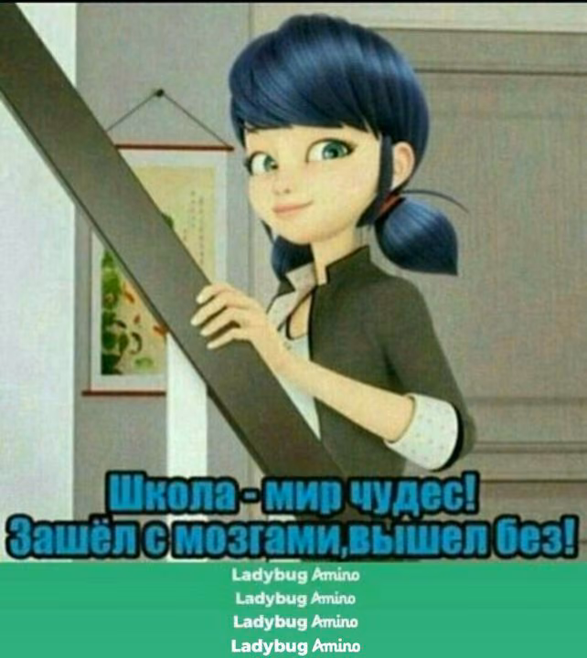b3a6e92fb154c4a1312a00d34503bbea.jpg