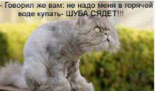 b3b24da0da6037bd8e71ab4ec39a4892.avif
