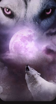 b3ba179711374090d09e12c9a72cfae7.avif