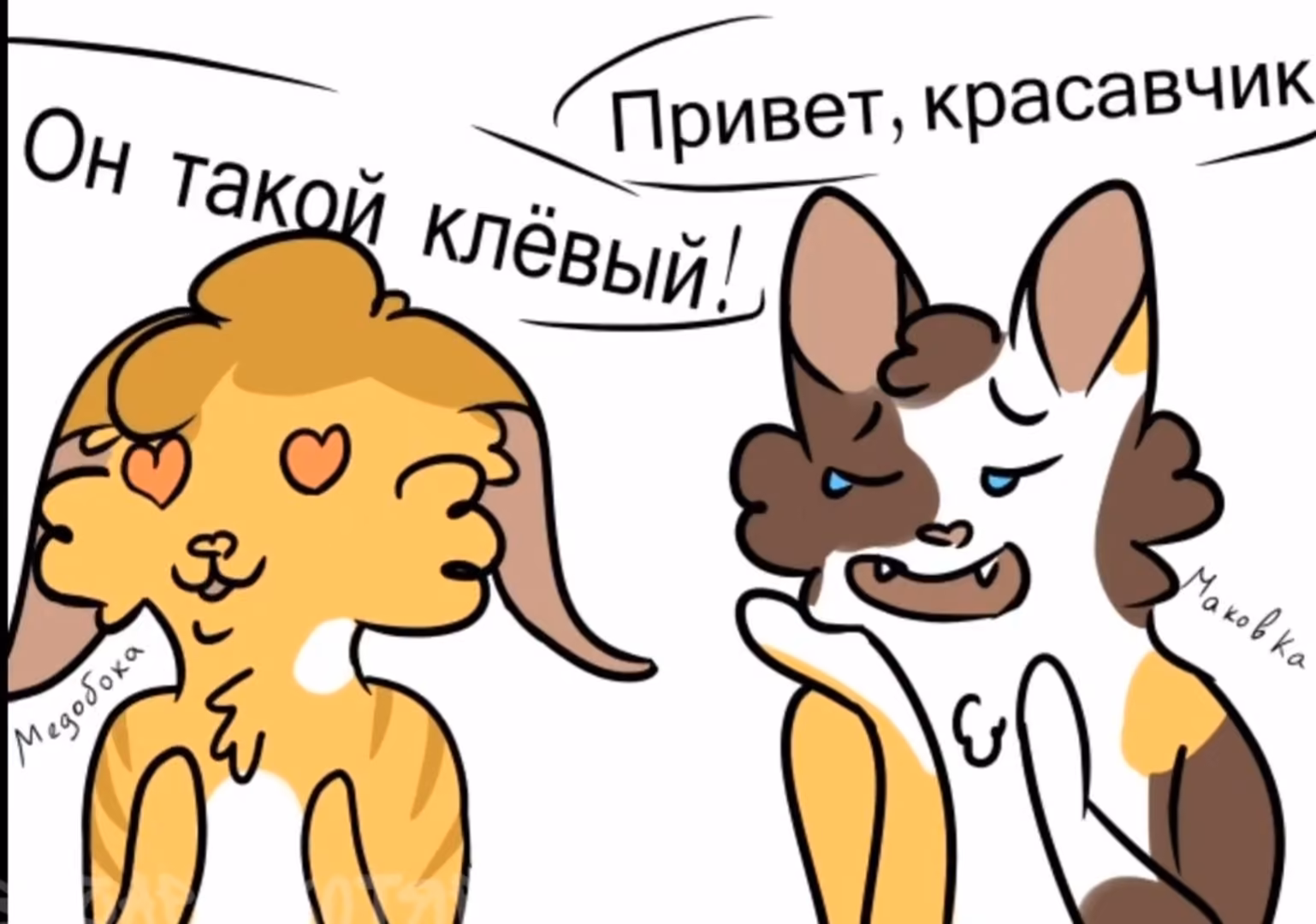 b3c1ac7eb1df89c6f24f5c8995a055a9.avif