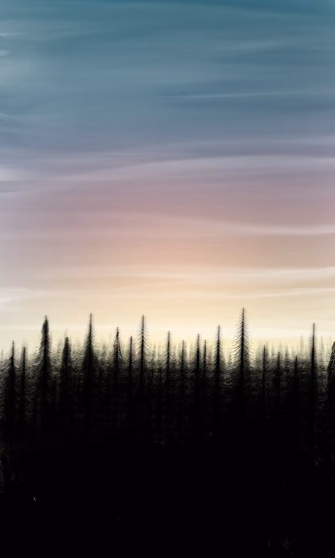 b3c89588a12acbe81e74e356fb82e2e6.jpg