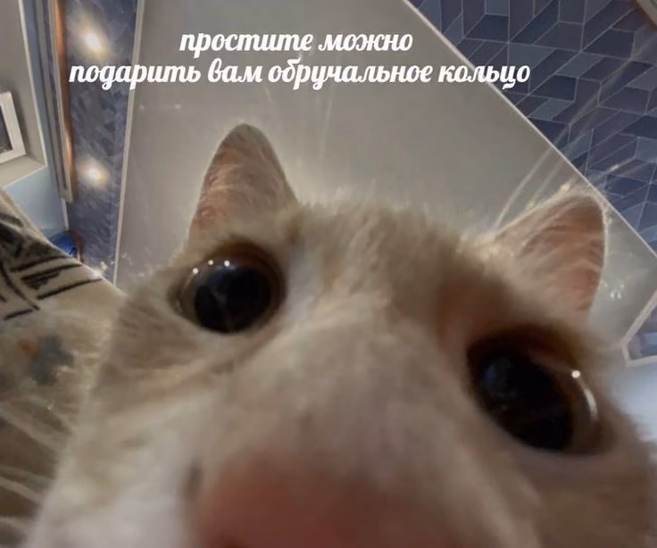 b3cc2b59830b5fc577d1e3f3bf13a6bb.jpg