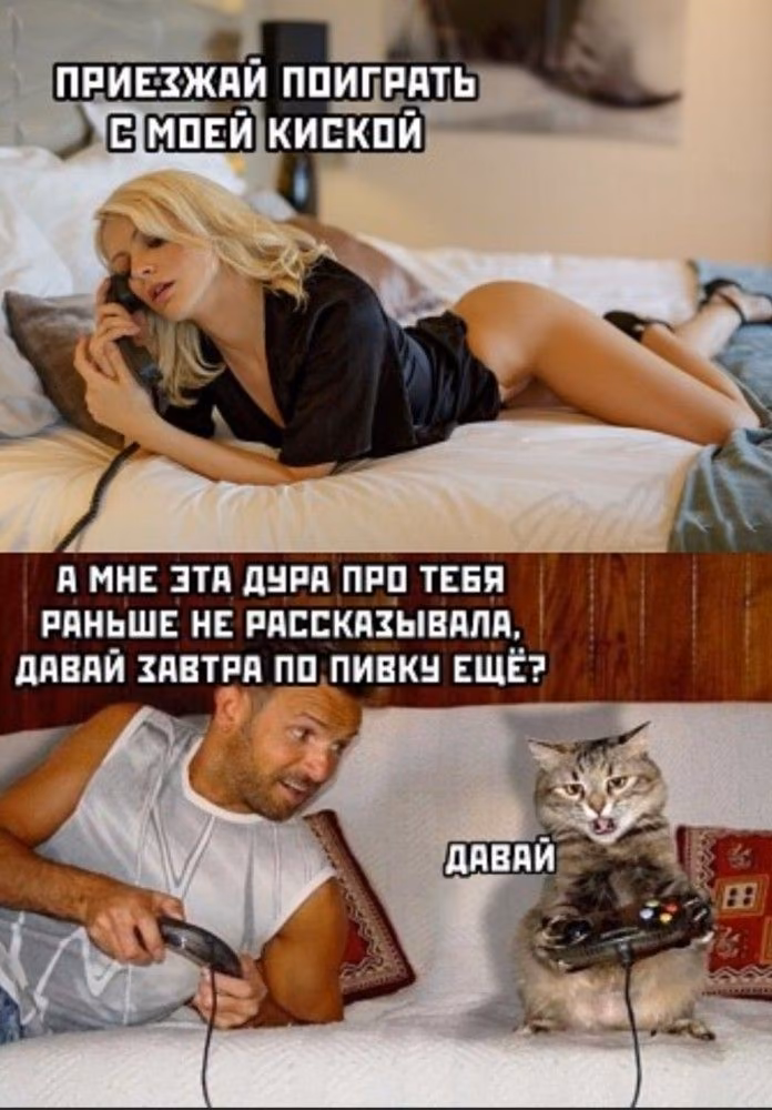 b3cead204082a5ac399c3088e1da13ee.jpg
