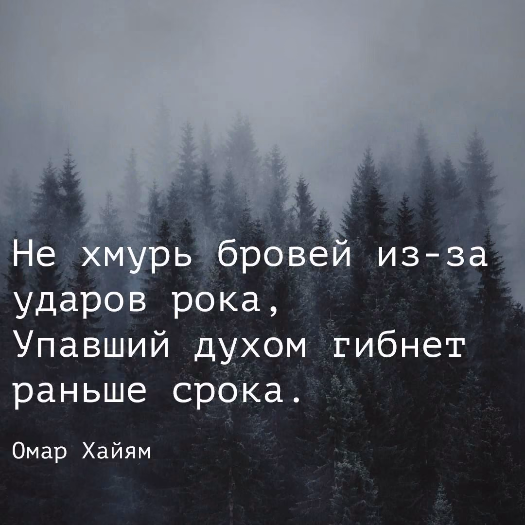 b3d2e244ab1b108b268bcb0742976873.jpg