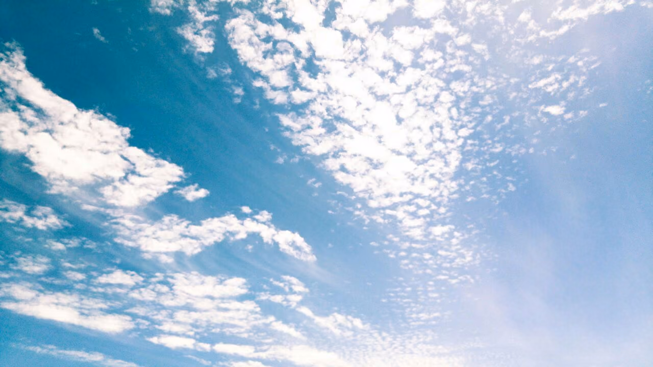 b402f98d03945de899268b071b41d1f2.jpg