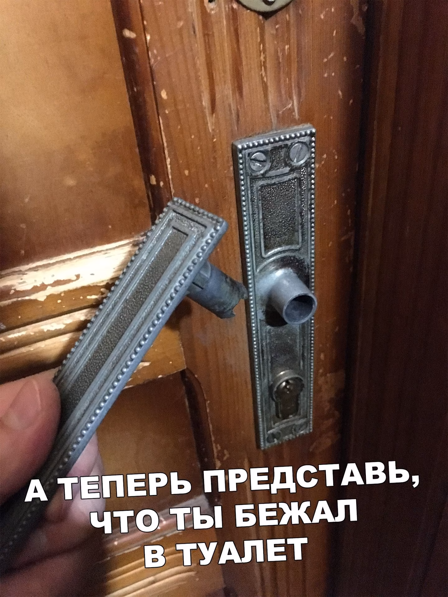 b40980bf595433bec89dab0e62adf5b2.jpg