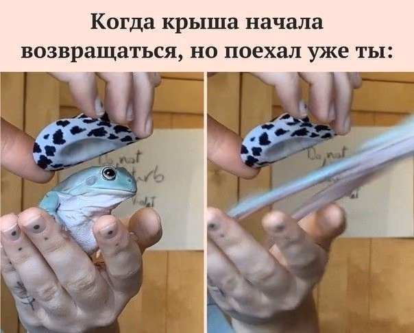 b40bf0be5458be674f93e59a0262af68.avif