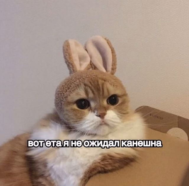 b414d14ad1e20d7e1bfcc59ac938a63d.jpg