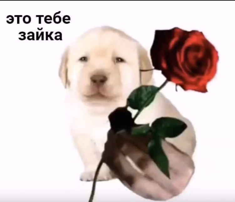 b436a9e80816392a9ca223abab47e740.avif