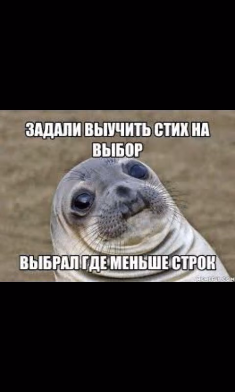b43a997028012e0276bb156b9d5b303b.avif