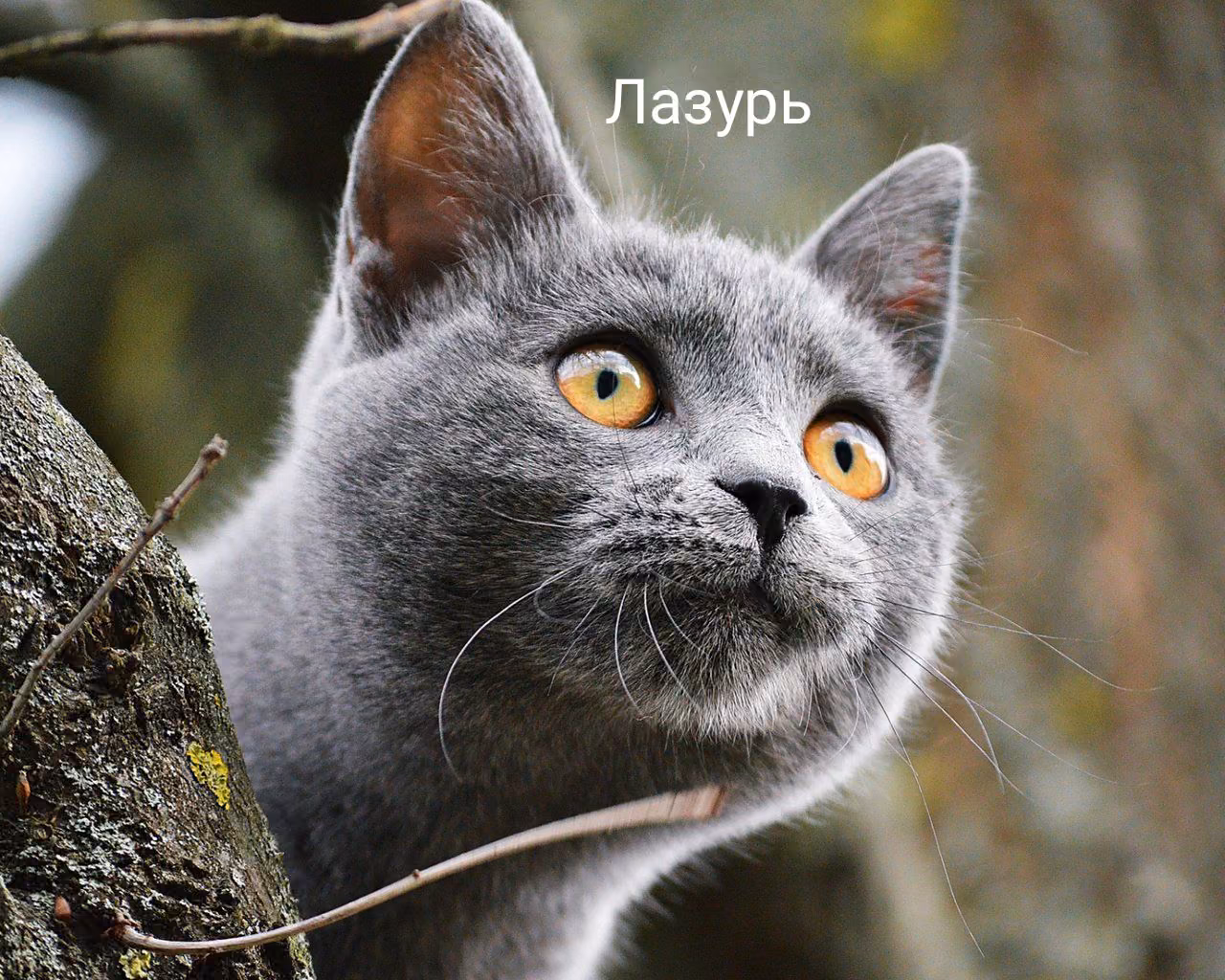 b43dc8c8069e42635257814d1cb47f75.jpg