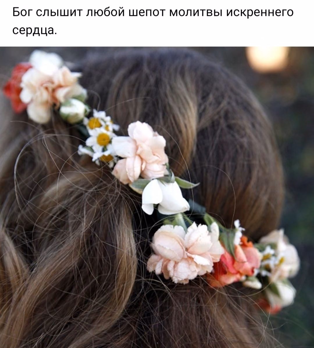 b43dd117e81e7e4dc30c9a10d890b08c.jpg