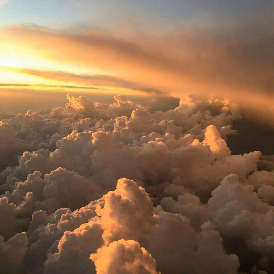 b446c6f1d57e5533460243814ca66b0b.jpg