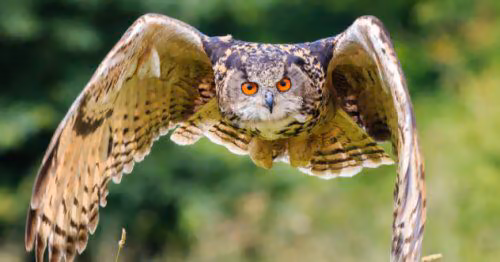b44a38f6ceeb4f903b0d8924dd528154.avif