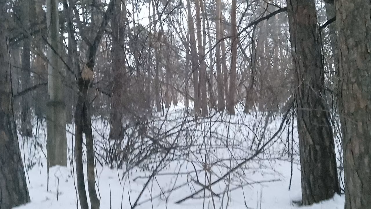 b453831cb1fbe0d8db6f360cfc05f661.jpg