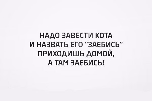 b4658350b582695c3a3b977932e0f2ff.avif