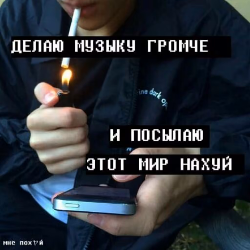 b467411badc912cfff3bbe2477689539.avif